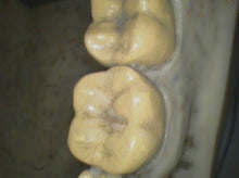 Load image into Gallery viewer, Air Techniques Cam-X Elara Dental High-Resolution Intraoral Camera