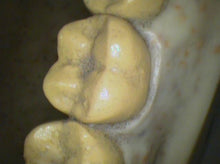 Load image into Gallery viewer, Air Techniques CamX Elara Dental High-Resolution Intraoral Camera