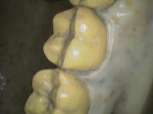 Load image into Gallery viewer, Air Techniques CamX Elara Dental High-Resolution Intraoral Camera
