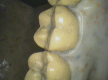 Load image into Gallery viewer, Air Techniques CamX Elara Dental High-Resolution Intraoral Camera