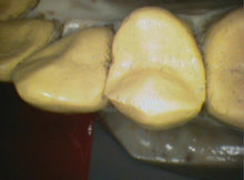 Load image into Gallery viewer, Air Techniques CamX Elara Dental Intraoral Camera Imaging System