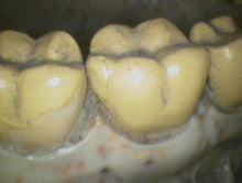 Load image into Gallery viewer, Lot of 2 Air Techniques Cam-X Elara Dental Intraoral Camera Imaging Systems