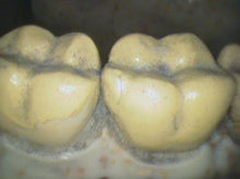 Load image into Gallery viewer, Lot of 2 Air Techniques Cam-X Elara Dental Intraoral Camera Imaging Systems