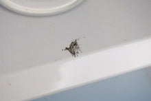 Load image into Gallery viewer, SciCan STATIM 5000 Dental Cassette Autoclave Instrument Sterilizer